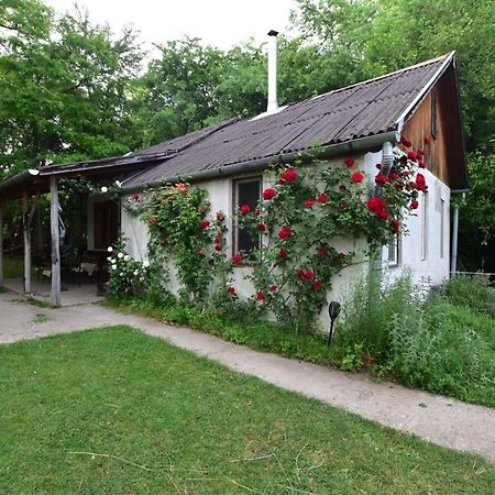 Pócsmegyer Igricz Farmhaz 빌라 외부 사진